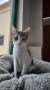 Romy (3)